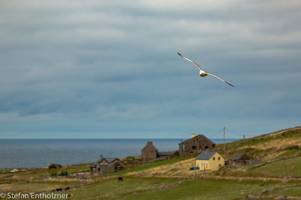 Dingle Halbinsel