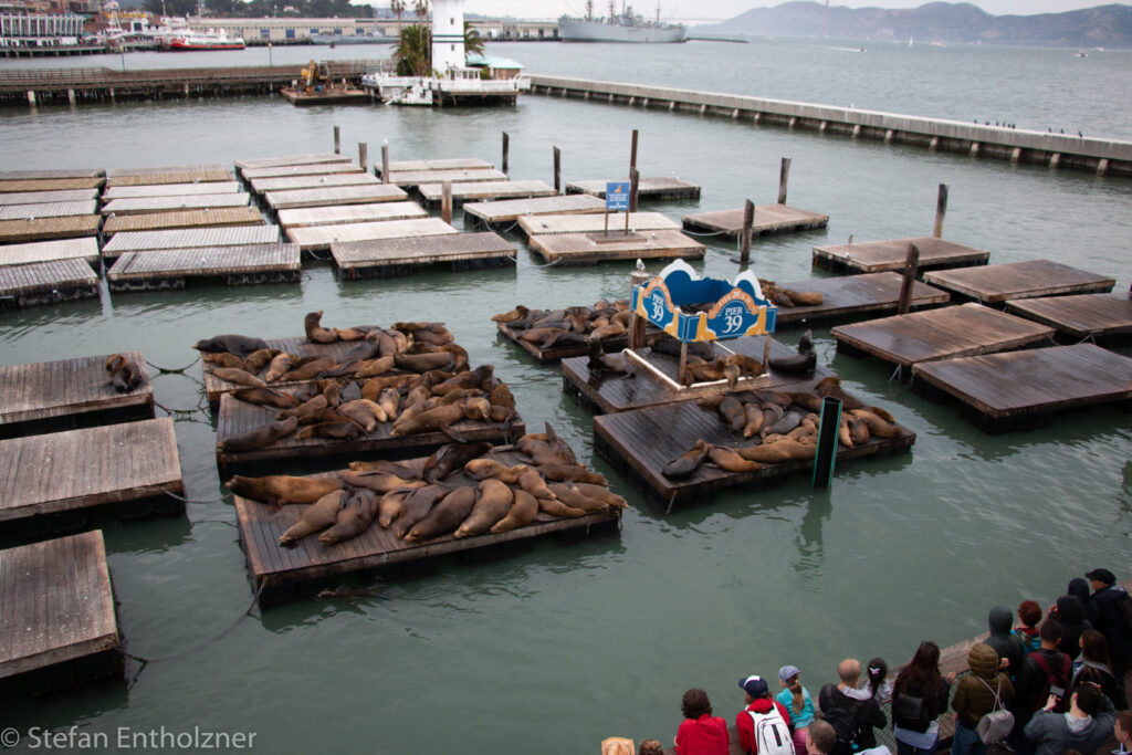 Pier 39