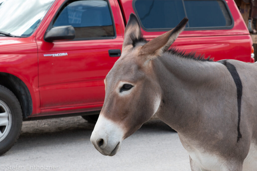 Oatman