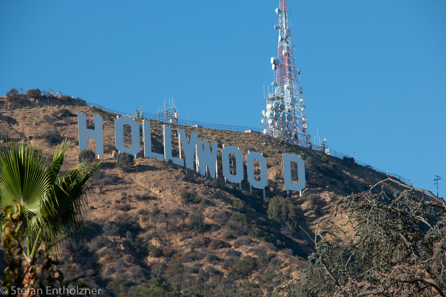 Hollywood