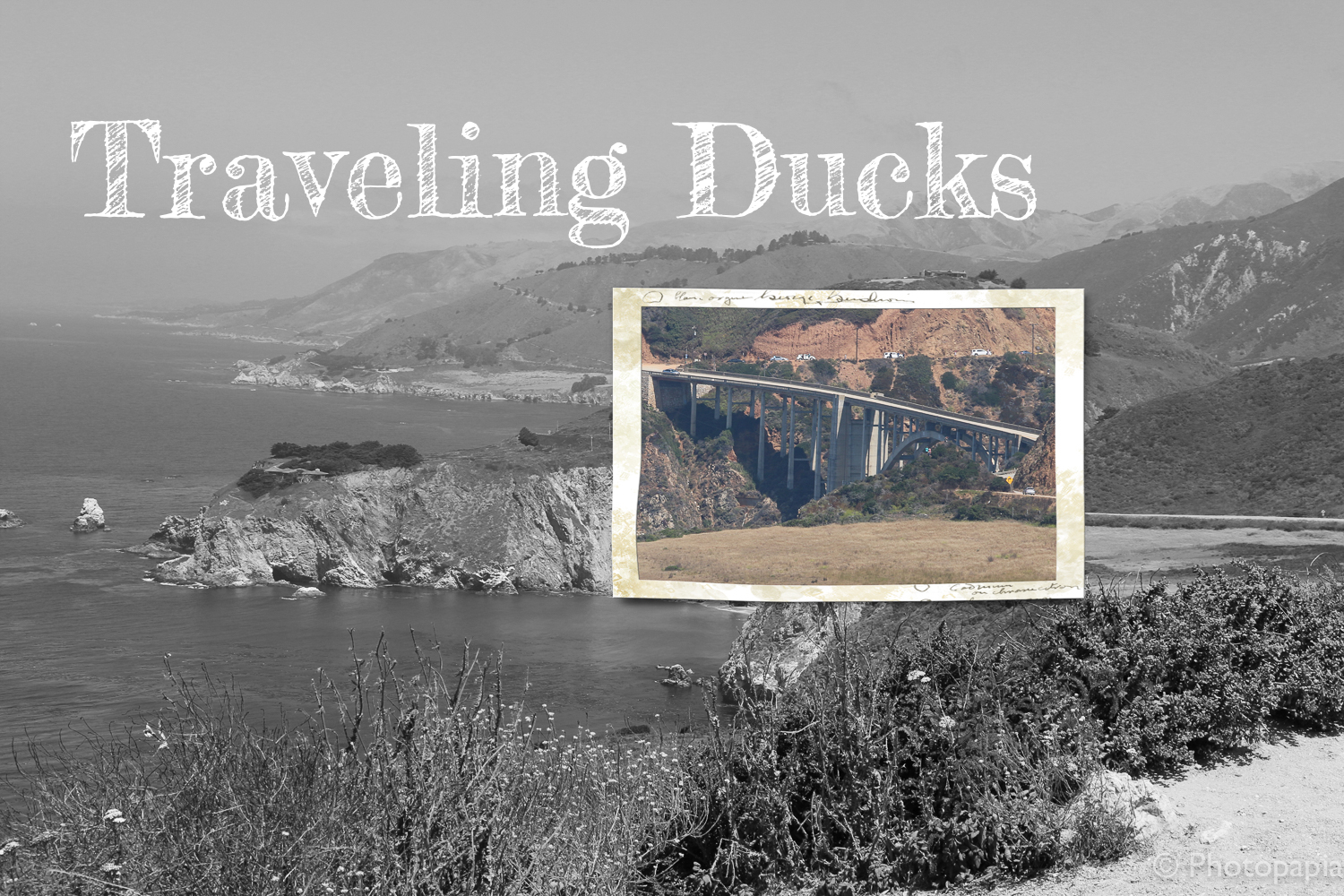 Traveling Ducks